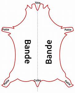 bande cuir en image